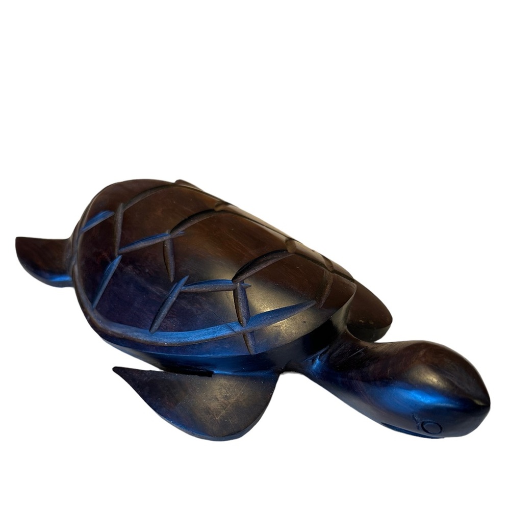 Ironwood Turtle.